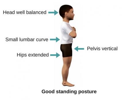 Good-postural-alignment-standing-child.jpg