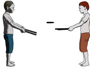 flower stick throw partner.jpg