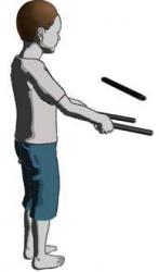 throw flower stick up.jpg