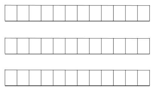 small single line grid.jpg