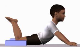 prone extended arm support knees flexed.jpg